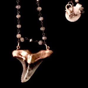 Sterling capped Grey Shark tooth Pendant on Moonstone beaded chain